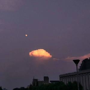 廖承宇《大雕》
