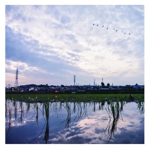 廖承宇《大雕》
